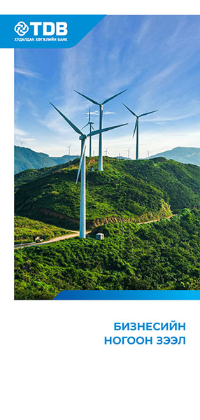 Business green loan